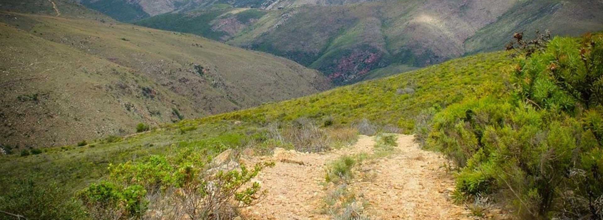 Baviaanskloof 4×4 Toer
